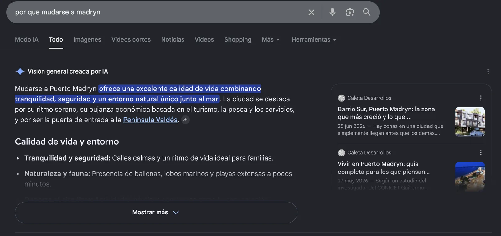 Resultado real de Google: la Visión general creada por IA cita dos guías de Caleta Desarrollos escritas por El Faro SEO
